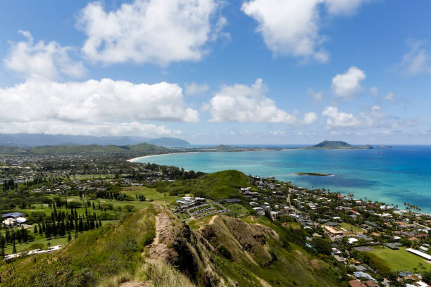 istock Turquoise Pacific Ocean view over the Pillbox Hike 907855378