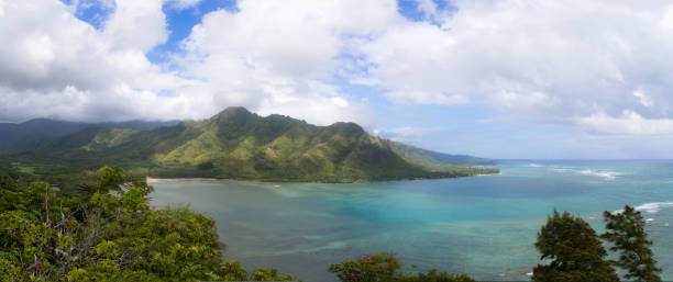 istock Panoramic view of Aluapuleho Point, Hawaii 907855694