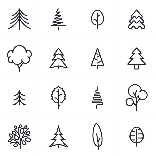 ilustraciones, imágenes clip art, dibujos animados e iconos de stock de árbol y hoja perenne iconos y símbolos - pine