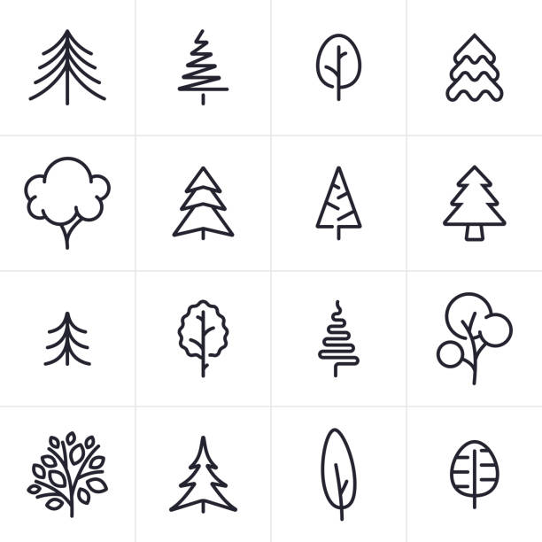 illustrazioni stock, clip art, cartoni animati e icone di tendenza di icone e simboli di alberi e sempreverdi - bosco immagine