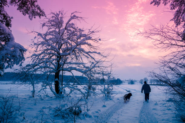 un homme avec un chien marche dans la forêt enneigée en hiver au coucher du soleil - christmas winter sunset snow photos et images de collection