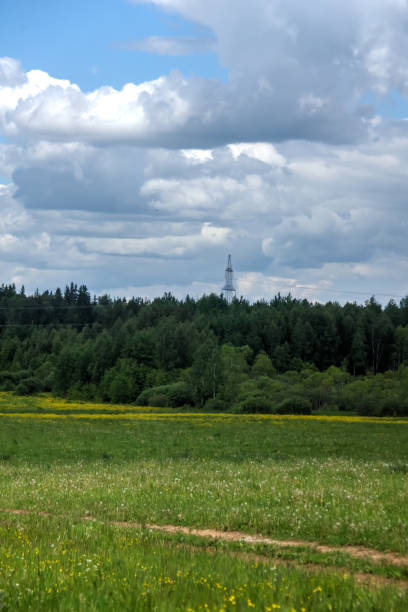 istock Field of buttercups. Spring. 907858418