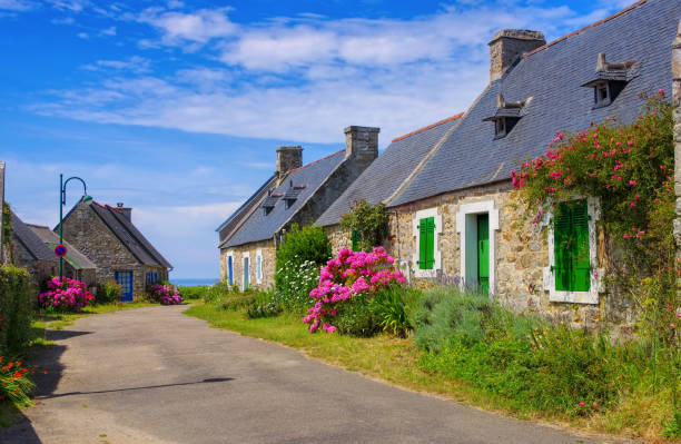 typical old house and hydrangea flower in Brittany, France typical old house and hydrangea flower in Brittany, France brittany france stock pictures, royalty-free photos & images