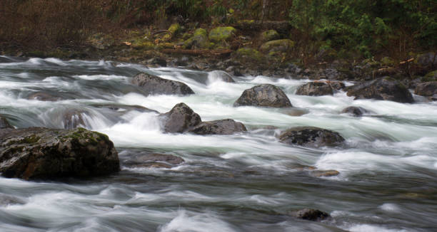 istock South Fork of the Snoqualmie River 907865146