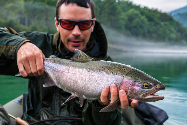 Fisherman with catch of Rainbow trout, Slovenia Fisherman holding the catch of Rainbow trout (Oncorhynchus mykiss) on bellyboat, Jesenice, Slovenia. Fly fishing and outdoor lifestyle theme. municipality of jesenice photos stock pictures, royalty-free photos & images