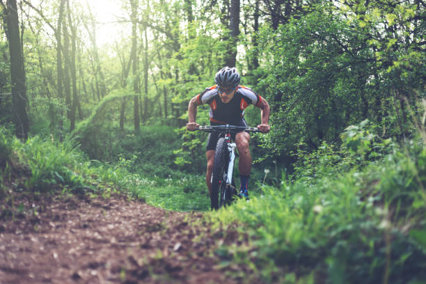 istock Mountain biker climbing in the woods 907870322