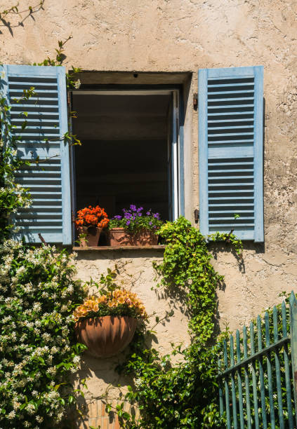 istock Garden on the Window Sill 907873032