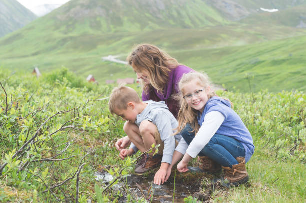 istock Mom looks for fish in a tiny Alaska stream with her two children 907873914