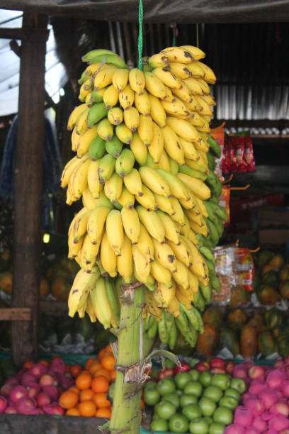istock Bananas and other fruit on street market 907874088