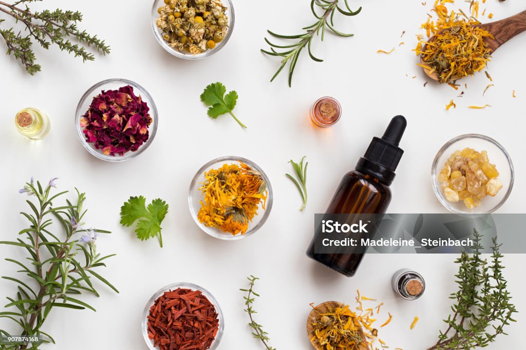 Flaschen an ätherischem Öl mit Kräutern und Blumen auf weißem Hintergrund - Lizenzfrei Alternative Medizin Stock-Foto