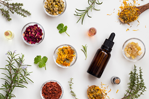 Bottles of essential oil with fresh thyme, cilantro, blooming rosemary, frankincense resin, dried calendula, chamomile, rose petals and sandalwood on a white background