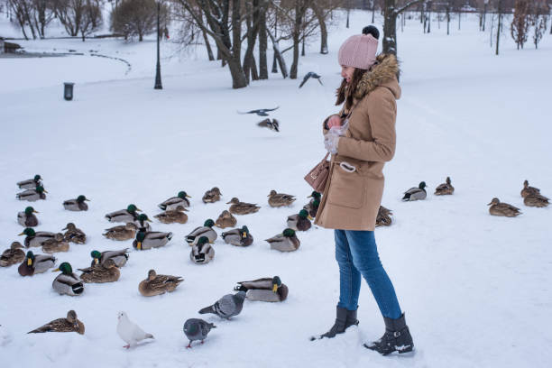 istock Girl feeds ducks in winter on snow 907875310