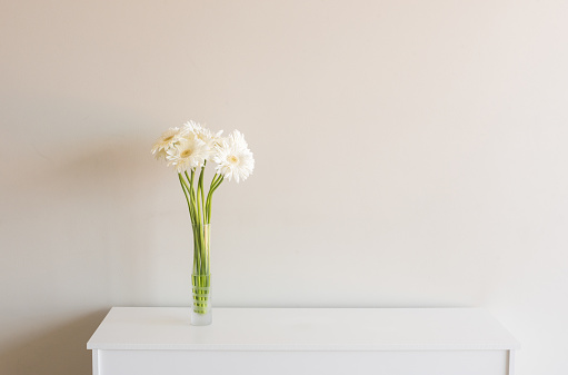 Tall white gerbera daisies in glass vase on white sideboard against neutral wall