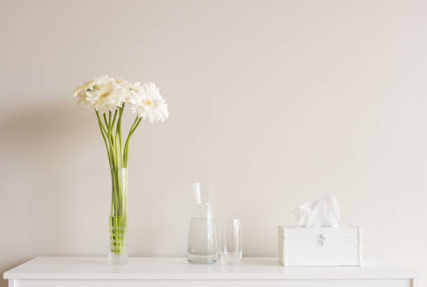istock White gerberas in water jug and tissue box 907876550
