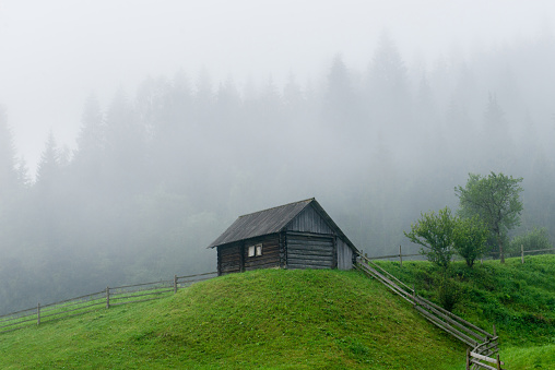 Wooden hut on a green meadow against the background of the forest in the fog