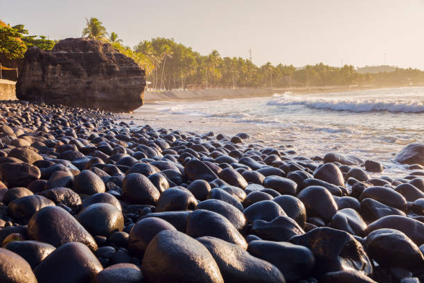 Old hollow coconut on the beach