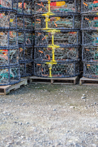 istock Commercial Crab Pots Stacked 907879610