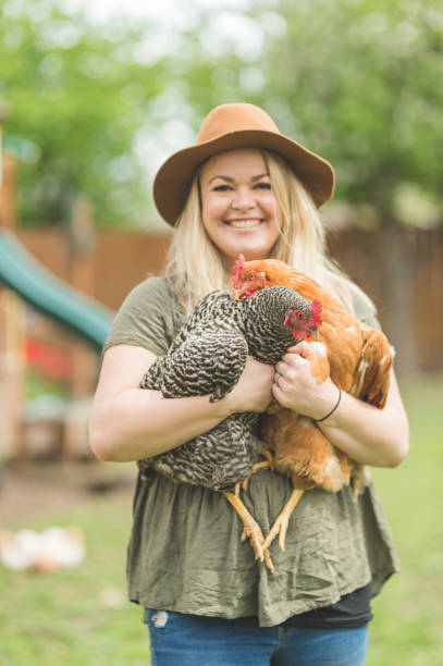 istock Urban Chicken Farm 907883930