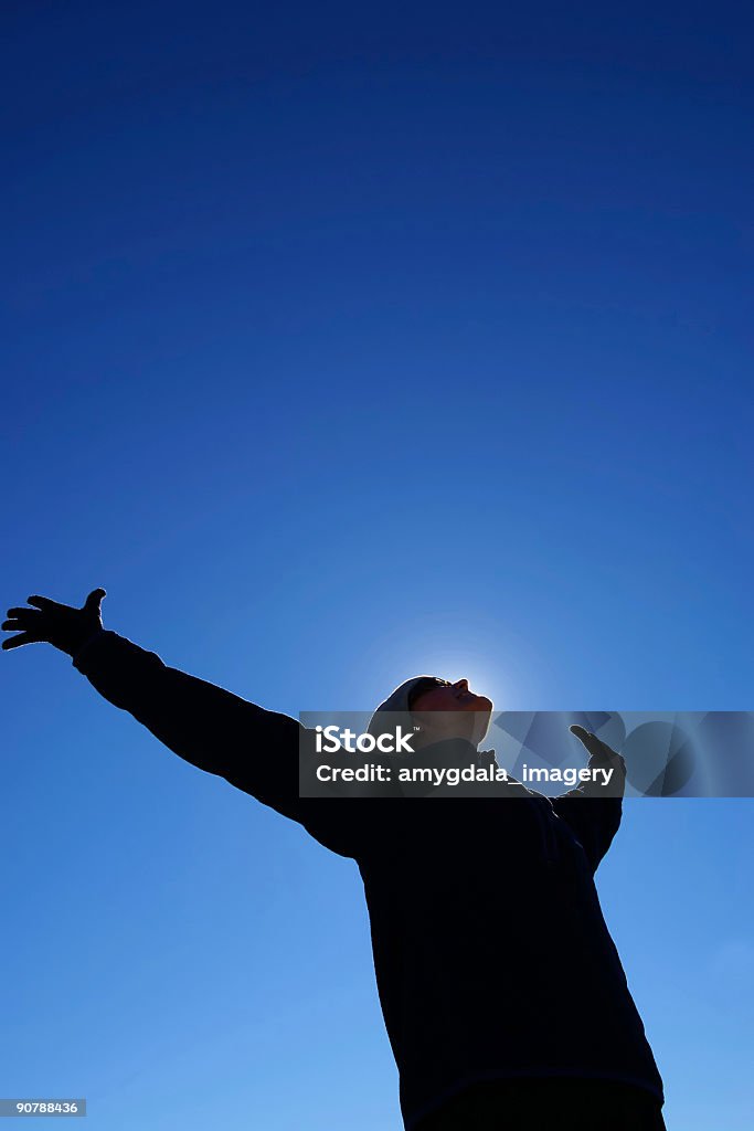 실루엣 암즈 돋아져 명확한 blue sky - 로열티 프리 감정 스톡 사진