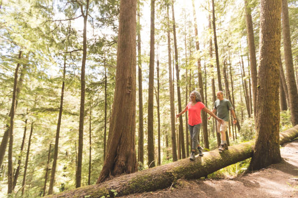 istock Senior Couple on a Day Hike in Forest 907886042