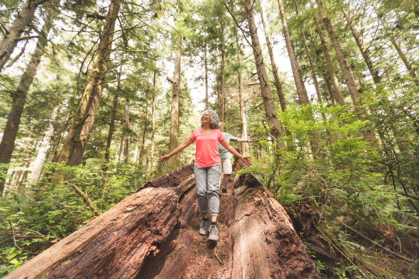 istock Senior couple hiking trip 907886044