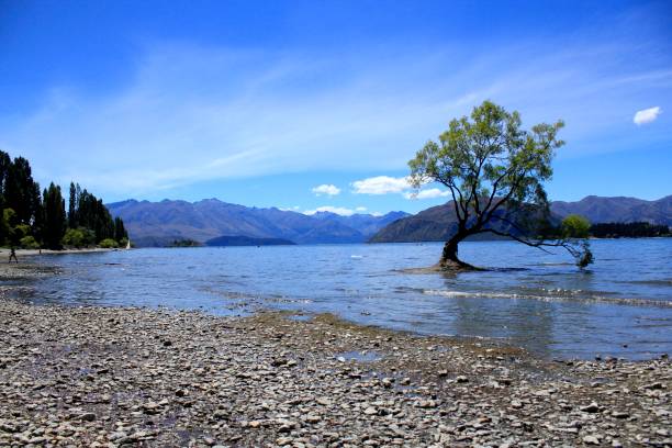istock Lake Wanaka,Wanaka,New Zealand 907886226