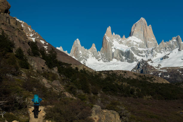 istock Hiking in Los Glaciares National Park 907887456