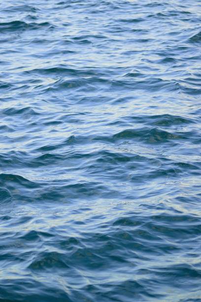 istock Abstract background texture of blue sea waves 907890486