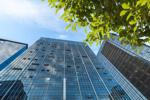 istock Details of a modern office building with green leaves 907891744
