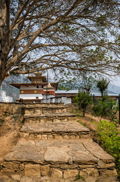 istock Chimi Lhakang Monastery, Punakha, Bhutan 907892794