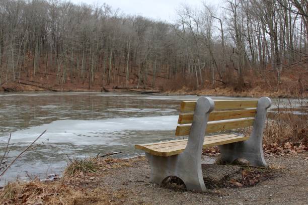 istock Park Bench near Frozen Lake 907894692