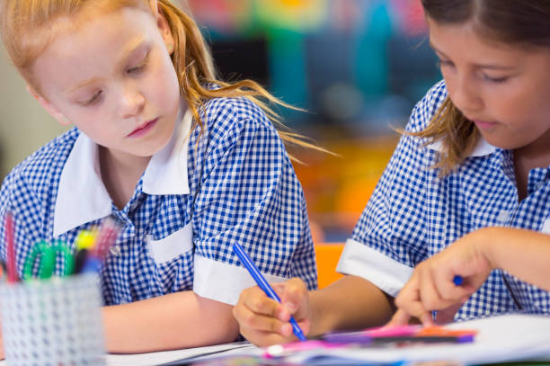 istock Two girl students working in the classroom. 907906742