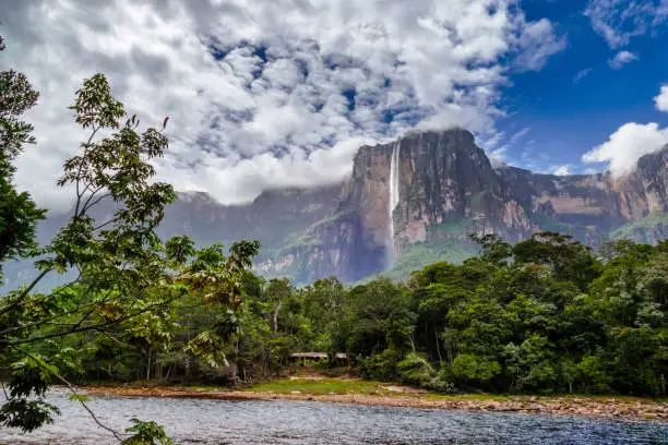 Angel waterfall, with 979 meters drop, the highest waterfall in the world on the Auyan tepuy, Canaima National Park, Venezuela.
