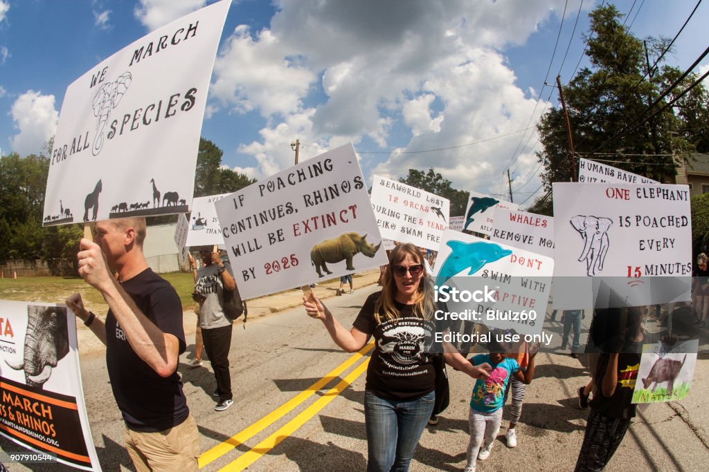 Animal Rights Activists Walk With Signs In Atlanta Festival Parade Stock  Photo - Download Image Now - iStock