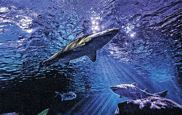 Vector illustration of Sharks swimming underwater above a coral reef