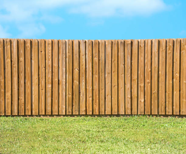 Generic wooden residential privacy fence with green grass yard stock photo