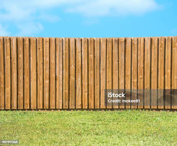 Generic Wooden Residential Privacy Fence With Green Grass Yard Stock Photo - Download Image Now