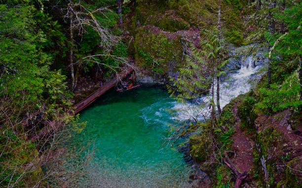 Gold Creek Green Pool North-Central Oregon's Cascade Range. willamette national forest stock pictures, royalty-free photos & images