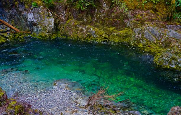 Opal Creek Preserve Water North-Central Oregon's Cascade Range. willamette national forest stock pictures, royalty-free photos & images