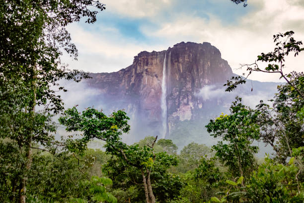 istock Angel falls, Canaima National Park, Venezuela 907915148