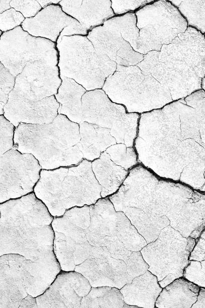 istock Black and white image of crack soil texture background 907915986