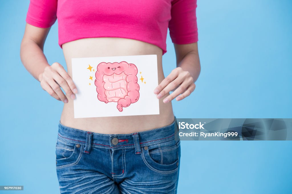 woman with health intestine concept woman with health intestine concept on the blue background Intestine Stock Photo