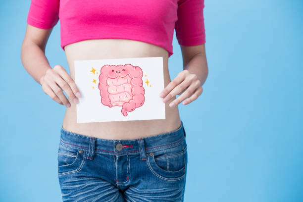 woman with health intestine concept woman with health intestine concept on the blue background caricature photos stock pictures, royalty-free photos & images
