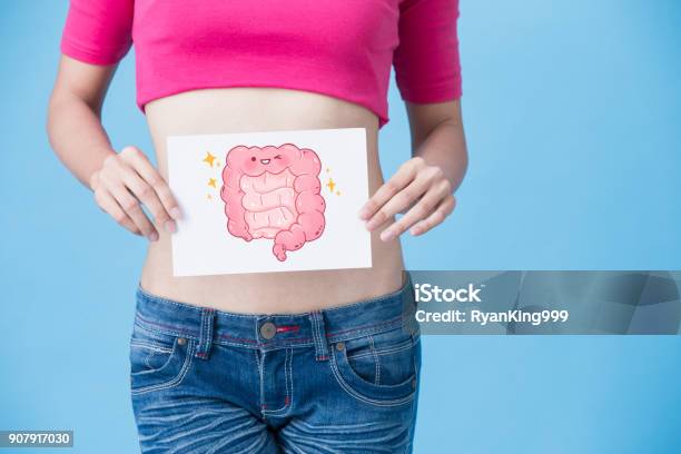 Woman With Health Intestine Concept Stock Photo - Download Image Now - Intestine, Healthy Lifestyle, Healthcare And Medicine