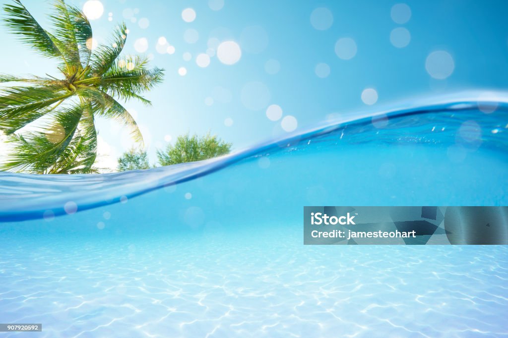 Split view over under sea sky and sky  with palm trees . Caribbean Stock Photo