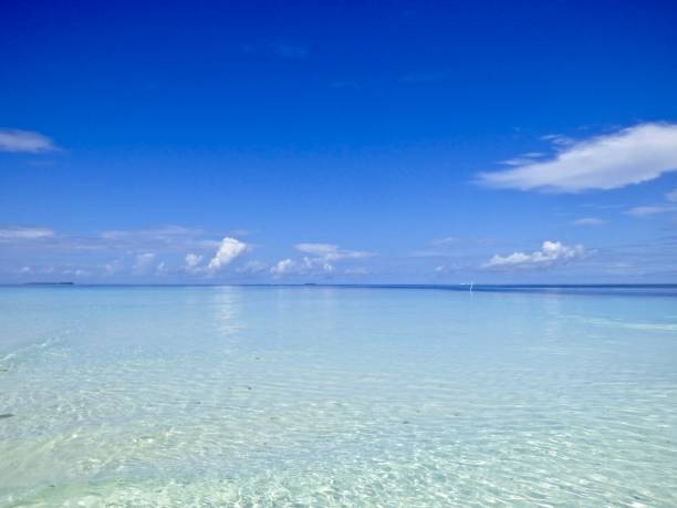 istock Tropical Shades of Blue 907928282