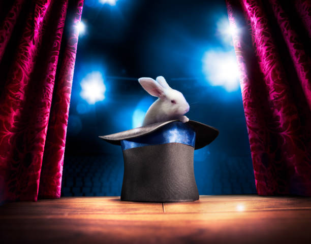l'image du magicien chapeau contrasté sur le devant de la scène - lapin viande de gibier photos et images de collection