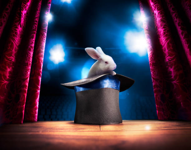 High contrast image of magician hat on a stage photo composite of a bunny in a magic hat on a stage rabbit game meat stock pictures, royalty-free photos & images