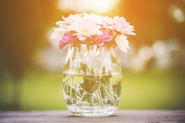 Decorative posy of fresh pink summer flowers in a glass vase on an outdoor wooden table viewed close up on the side with golden glow from the sun
