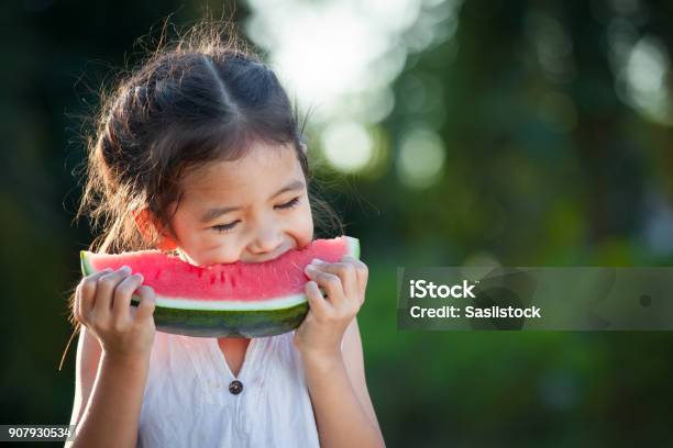 Cute Asian Little Child Girl Eating Watermelon Fresh Fruit In The Garden Stock Photo - Download Image Now